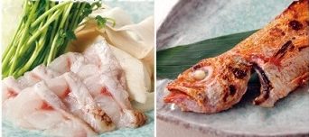 〈北信越地域にお住まいの方限定〉のど黒のしゃぶしゃぶ付!のど黒を堪能★夕食コースと飲み放題付プラン【1泊2食付】<GoToトラベルキャンペーン割引対象>