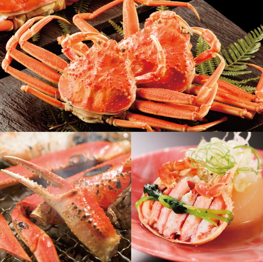 〈五感にごちそう金沢〉蟹づくし!豪華な夕食コースと飲み放題付プラン【1泊2食付】<GoToトラベルキャンペーン割引対象>